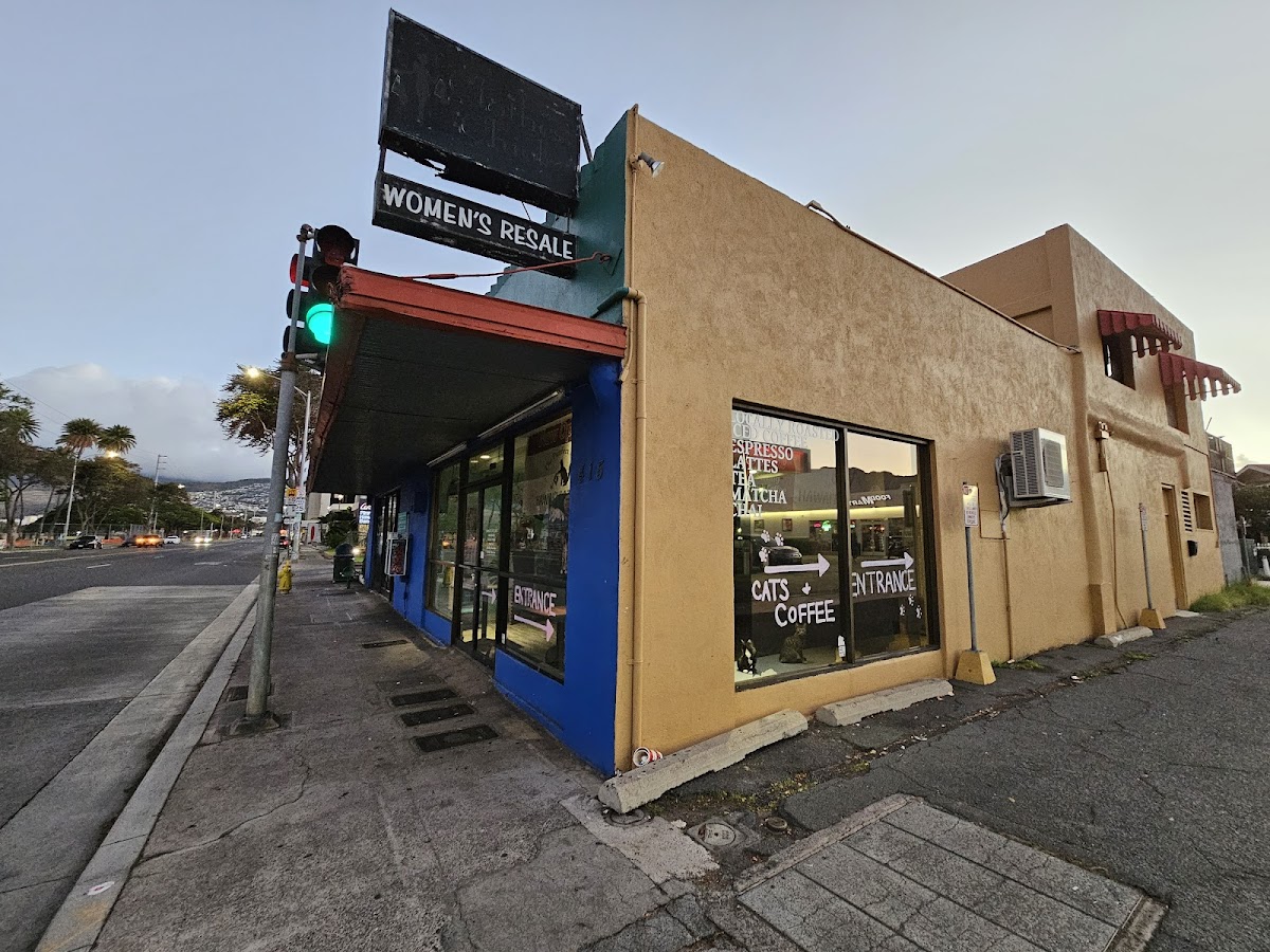 Hawaii Cat Cafe