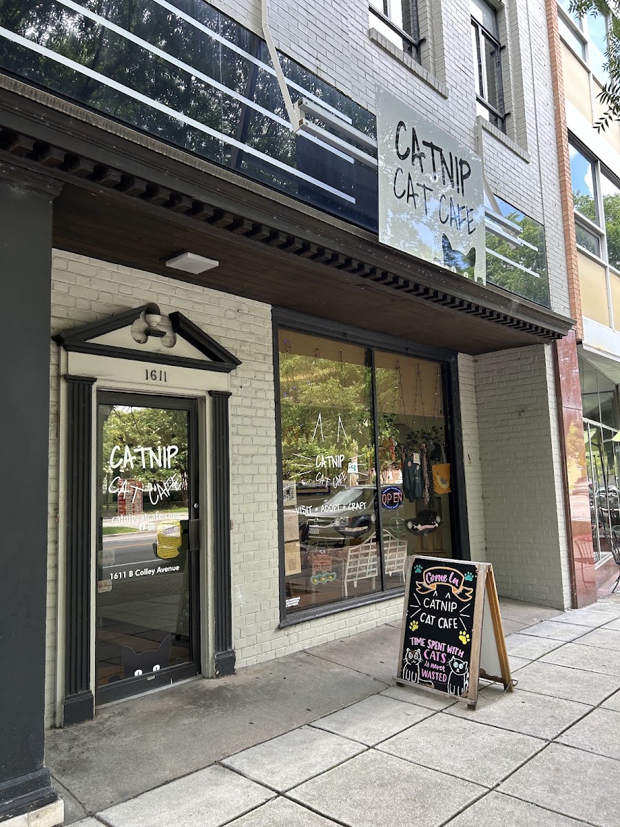 Catnip Cat Cafe