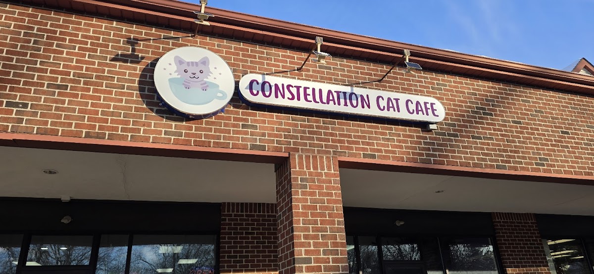 Constellation Cat Cafe